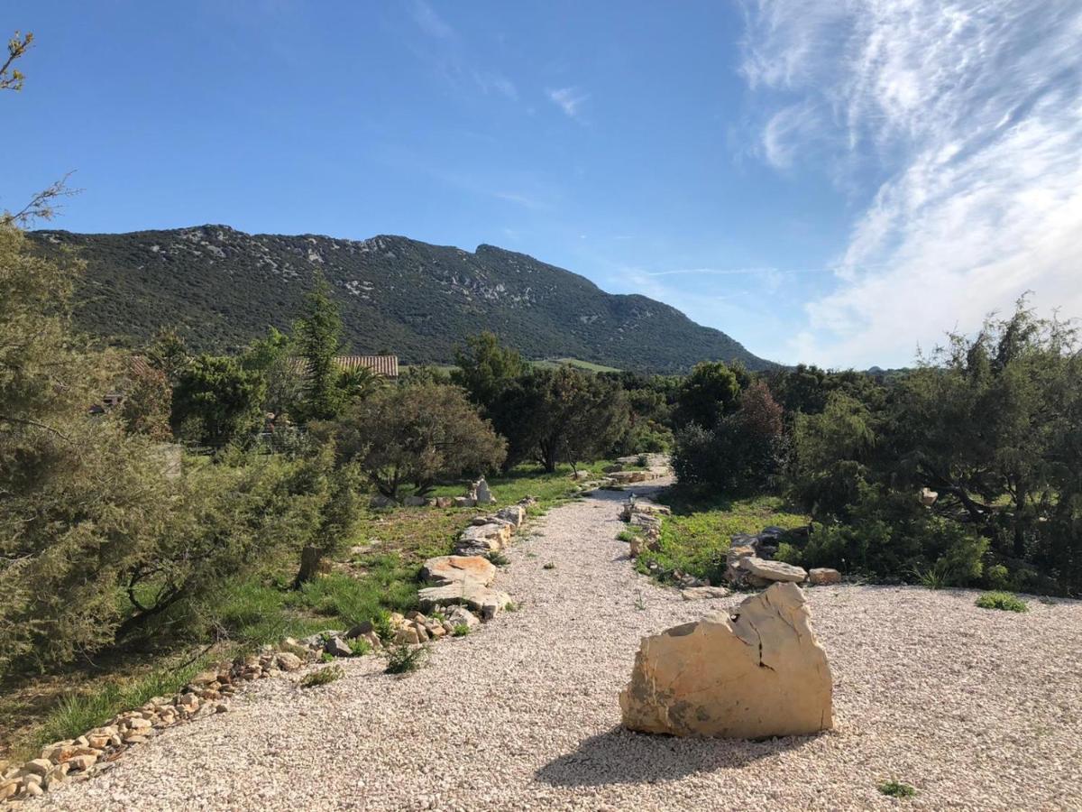 Le Domaine Du Cade-Gites D'Exception 4Etoiles "La Villa Du Cade" Cazevieille Exteriér fotografie
