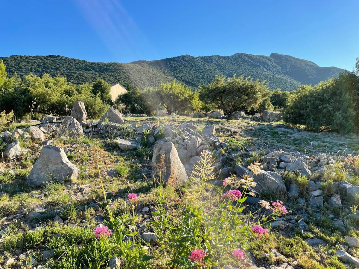 Le Domaine Du Cade-Gites D'Exception 4Etoiles "La Villa Du Cade" Cazevieille Exteriér fotografie
